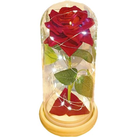 Saint Valentin Rose Eternelle sous Cloche, La Belle et la Bête Rose, Dôme en Verre Rose éternelle avec lumière LED et Base, Mariage Maison Décor, Cadeau Unique pour Maman, Femme, Mere, Mamie, Amie (1/5)