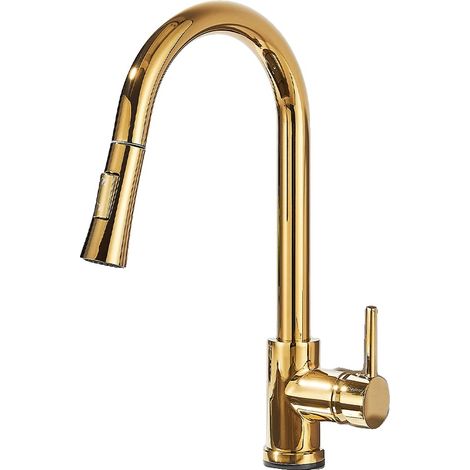 Grifo de cocina con rociador extraíble, monomando, color dorado. (1/2)