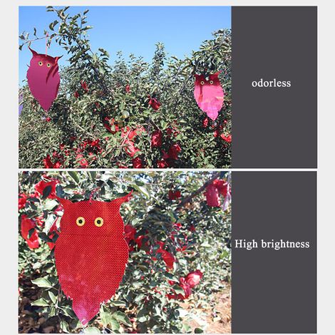 Lot de 2 répulsifs anti-oiseaux en forme de hibou, laser clignotant, double face, pour l'extérieur et l'intérieur. (1/5)