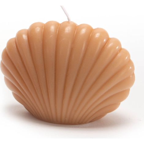 Amadeus - Bougie coquillage nude (lot de 8) (1/2)