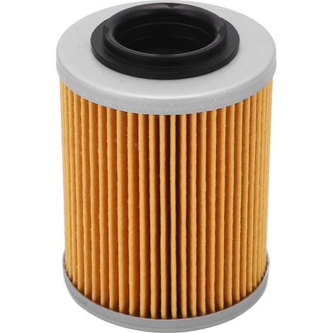 Filtre à huile moteur Remplacement du filtre à carburant du moteur cylindrique pour RYKER Ally Edition 900 ACE (1/5)