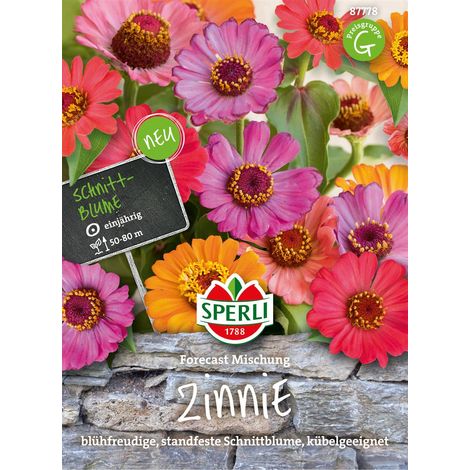 Sperli Zinnien Forecast Mischung - Blumensamen (1/2)