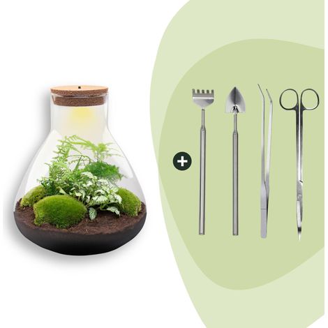 Terrarium de Plantes DIY avec Lumière Sam XL Écosystème Autonome Ø 30 x 35 cm - Kit Complet - PANGIVO