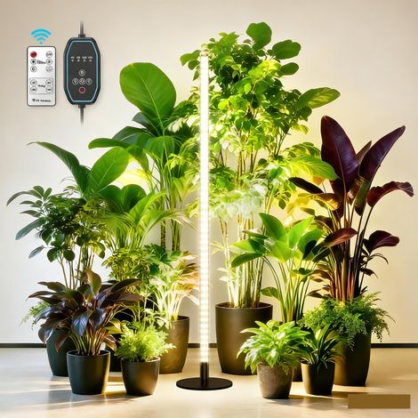 Lampe de croissance pour plantes à 360° - 1,65 mètre, 576 LED, éclairage automatique d'intérieur, spectre complet, avec support (1/5)