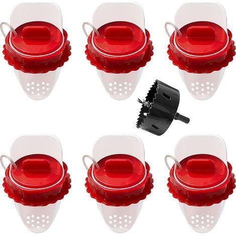 Mangeoire automatique étanche pour poules – Lot de 6 pièces – Anti-nuisible – Alimentation par gravité pour réduire le gaspillage (1/5)
