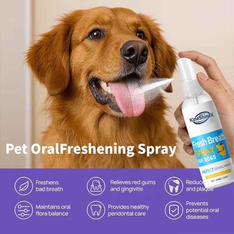 Zahnreinigungsspray für Haustiere, geeignet für Katzen und Hunde, Mundhygienespray, entfernt und löst Mundgeruch und Zahnstein, antibakterielle Mundspülung, universell einsetzbar. (1/5)