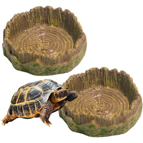 2 bols eau reptiles tortues terrestres amphibiens lézards grenouilles geckos (1/4)