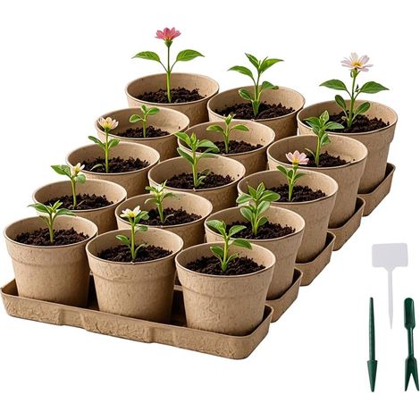 Pot de fleurs biodégradable avec plateau - Pot de 10 cm - Pour couper les herbes, les semis et le repiquage (15 pots de fleurs et 5 plateaux) (1/5)