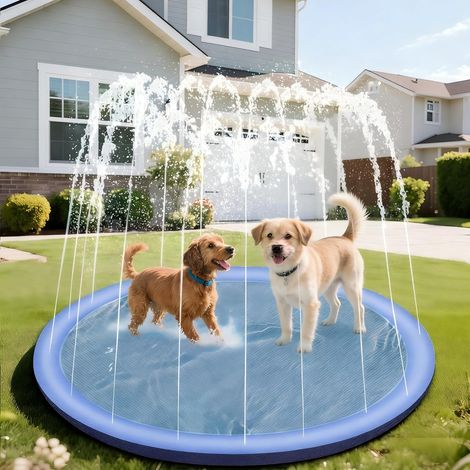 Piscine pour chiens, 100 cm, jeux aquatiques pour enfants, d'extérieur, pliable et portable, en PVC, piscine pour chiens robuste avec rebords anti-éclaboussures et revêtement antidérapant, toboggan aq (1/5)
