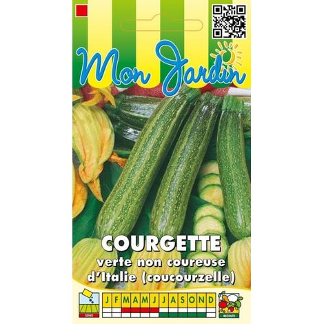 Courgette verte non coureuse d'Italie - 5g