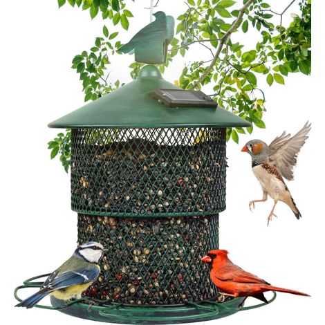 Mangeoire Oiseaux Exterieur 30cm - Distributeur Cacahuètes Oiseaux, Mangeoire à Oiseaux Distributeur Suspendu Imperméable d’Extérieur Mangeoire pour Oiseaux Sauvages (1/5)