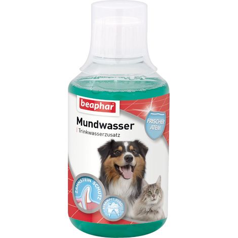 beaphar Collutorio – Additivo per Acqua Potabile – per Cani e Gatti – Cure dentali Senza spazzolino – 250 ml (1/5)