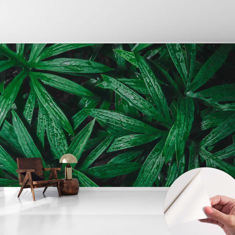 Papier peint autocollant adhésif avec imprimé installation simple qualité excellente sans désordre Verdure naturelle 416x254 cm (1/5)