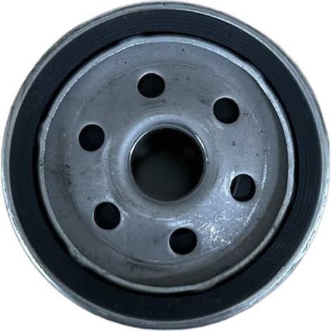 Filtre à huile pour BRIGGS & STRATTON référence : 491056 - KOLHER : 5205002 (1/2)