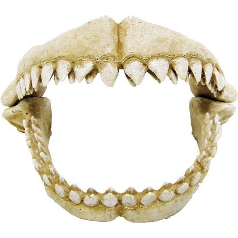 Denti di squalo 17,2x12,2x11,3 cm decorazione per acquari