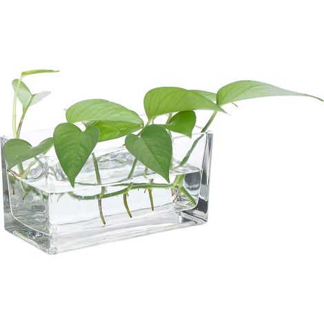 Vase Rectangulaire en Verre 8x4x4 Pouces, Pot À Fleurs Transparent Terrarium Conteneur Fond Épaissi pour décoration De Mariage Bureau Maison Événement Fête, Transparent (1/5)