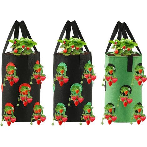 Paquete de 3 bolsas para plantas de pared, bolsas cilíndricas para plantas colgantes, jardineras verticales duraderas para jardín, adecuadas para plantación colgante en interiores y exteriores, 2 (1/5)