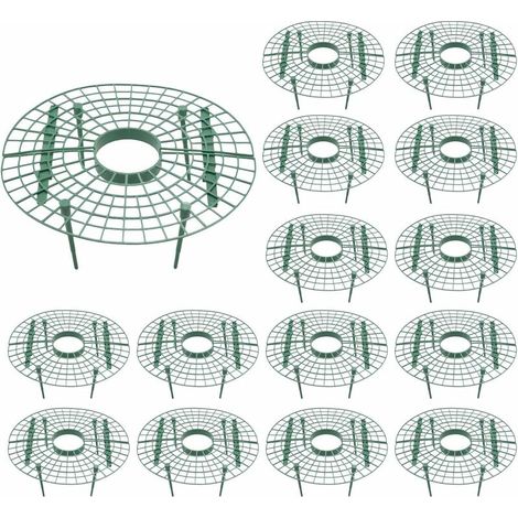 Lot de 15 supports pour plantes de fraises - évite la pourriture - Outil de culture de fraises (1/5)