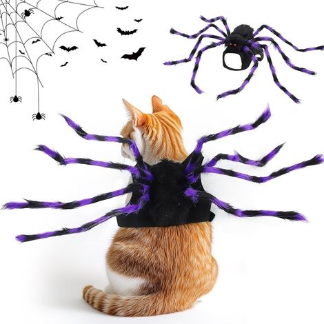 Araignée violette pour Halloween (1/5)
