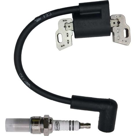 Pièces détachées pour tondeuses à gazon et tronçonneuses, bobine d'allumage, pièces de tondeuse à gazon, transformateur haute tension 798534 799582 593872 (1/2)