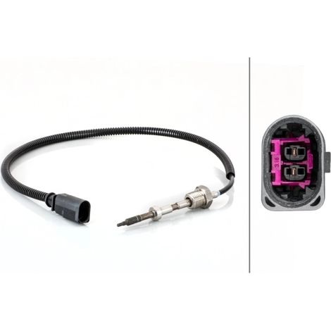 Capteur, température des gaz Hella 6PT 014 494-591 AUDI 059 906 088 AK 135517