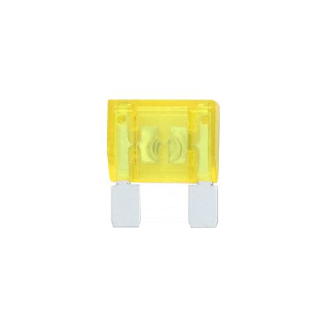 Lot de 10 Fusibles Magnum 20A