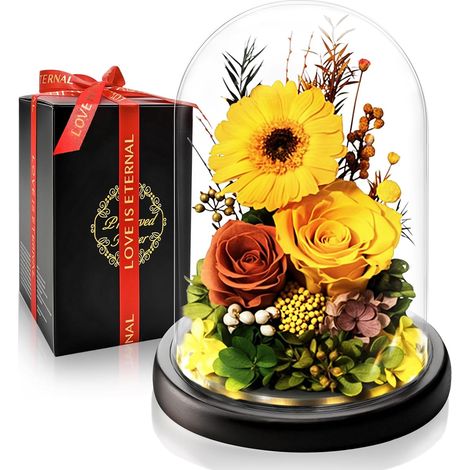 Rose Éternelle et Gerbera Stabilisée Fleurs Préservées Cadeau de luxe avec Lumière LED Parfait pour les Anniversaires Cadeaux Noel, Saint-Valentin pour Femmes, Amie Épouse Maman et Grand-mère (1/5)