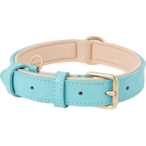 Collier pour Chien, en Cuir, Collier de Chien Ajustable Coussin Moelleux Cuir Nouvelle Couleur de Rembourrage pour Petits, Moyens ou Grands Chiens, Bleu, L (1/5)