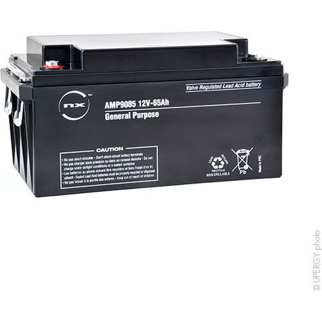 NX - Batterie plomb AGM NX 65-12 General Purpose 12V 65Ah M6-F