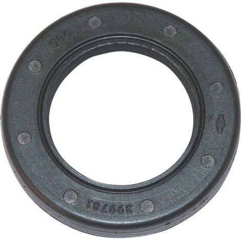 Joint spi moteur Briggs et Stratton Serie 122672, Intek et Quantum - 399781S