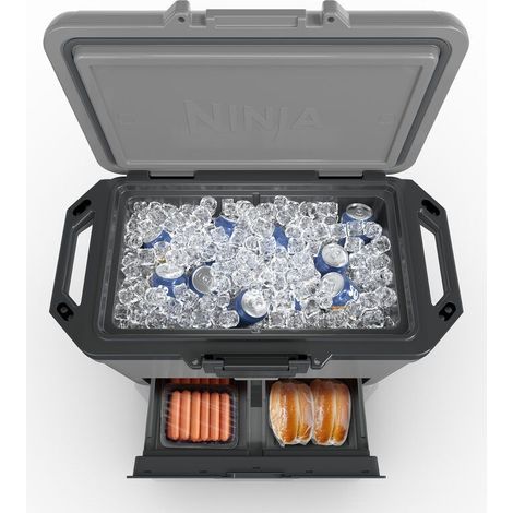 Ninja FB151EUGY borsa frigo 47 L Grigio (1/5)
