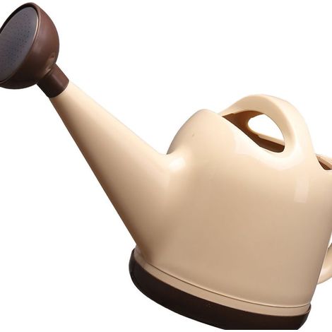 Arrosoir 4L Plastique avec Tête Arrosage Détachable Pot à Eau pour Jardin Intérieur/Extérieur Plantes Fleurs Beige (1/4)