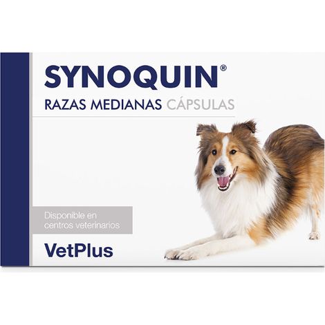 Gare medie sinoquin 120 capsule