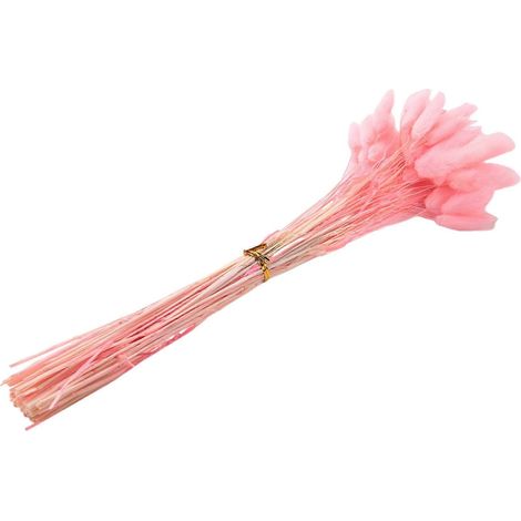 60 getrocknete Herbstblumen in Form eines Hasenschwanzes (rosa) (1/5)