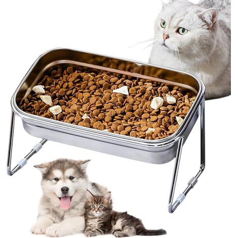 Gamelle surélevée pour chat, acier inoxydable 304, gamelle inclinée à 15°, gamelle anti-vomissements sur pied pour chats et chiots (gamelle simple) (1/5)