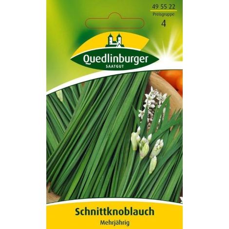 Quedlinburger Schnittknoblauch Mehrjährig - Kräutersamen (1/2)