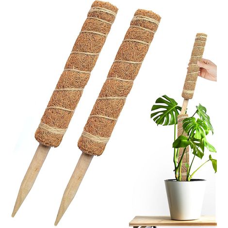 Moss Pole - 66 cm Support Pour Plantes Grimpantes - En Fibre De Coco Et Bois - Adapté Monstera Philodendron Pothos - Lot De 2