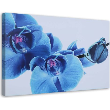 Tableau sur toile Orchidée Fleurs Bleu 60x40 (1/5)