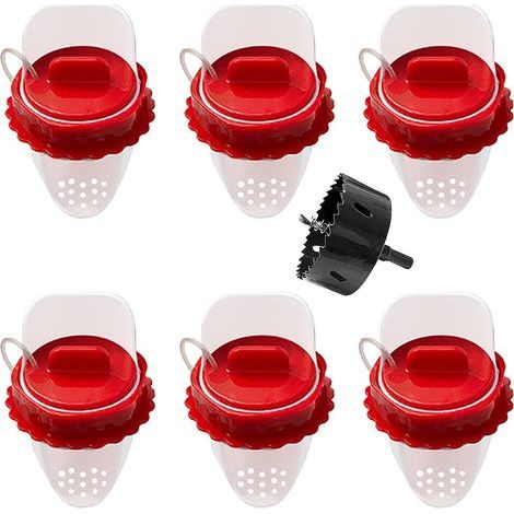 Mangeoire automatique étanche pour poules – Lot de 6 pièces – Anti-nuisible – Alimentation par gravité pour réduire le gaspillage (1/5)