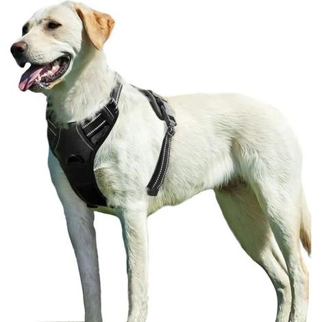 Harnais anti-traction pour chien, réfléchissant, respirant, durable, taille moyenne, noir, poignée de contrôle anti-traction XL (1/4)