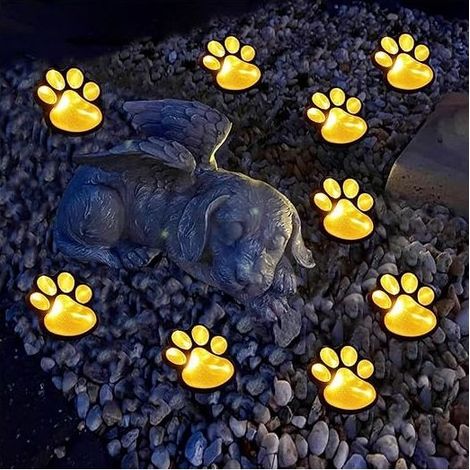 Lampe Solaire LED Patte de Chat IP65 Étanche – Éclairage Extérieur 7 Couleurs – Décoration Jardin Allée Terrasse Pelouse Chemin (1/5)