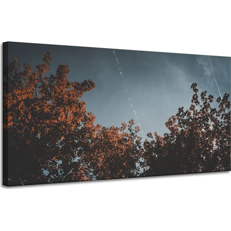 Leinwanddruck Orangenbaumkronen 120x60
