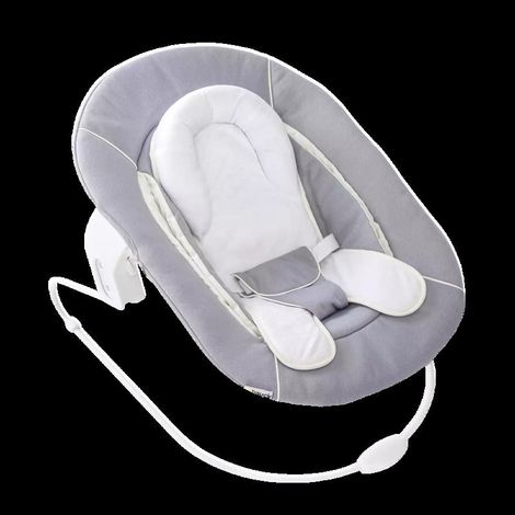 [NEUWERTIG] B-Ware Hauck Bouncer 2 in 1 Babywippe ergonomisch Plüsch grau für Hochstuhl Alpha Beta (1/2)