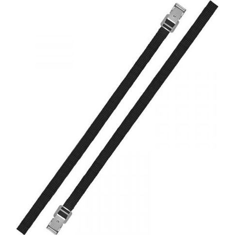 ProPlus Spannriemen mit Metallschnalle 18mm-150cm Set von 2 Stück (1/3)