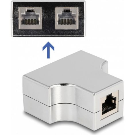 Delock RJ45 réseau informatique Adaptateur [1x RJ45 femelle - 2x RJ45 femelle] argent