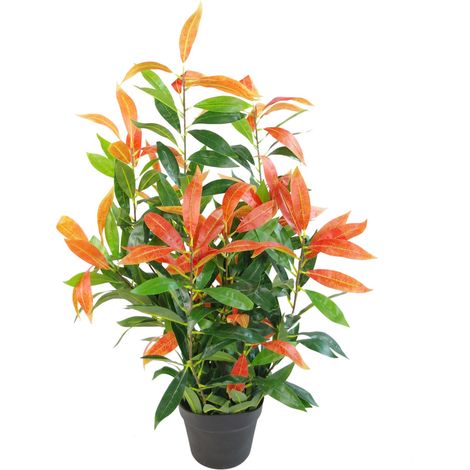 80cm Artificial Red and Green Ficus Plant (1/3)