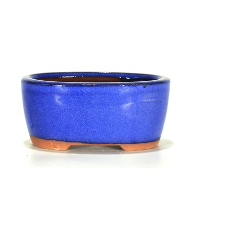 Vaso bonsai ovale 12 cm smaltato blu (1/2)