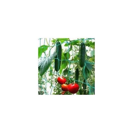 Filet à Ramer avec Maillage Large pour Une récolte particulière Bonne de concombres, tomates et Autres légumes et Plantes grimpantes – Dimensions : 1.82.7m (1/4)