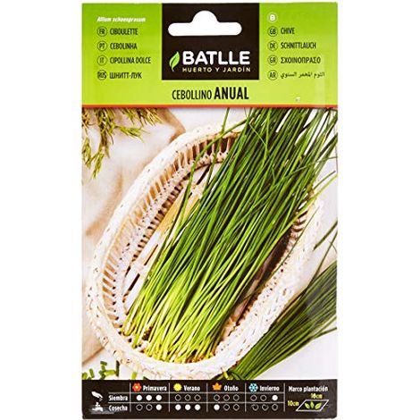 Semillas de Cebollino Anual Batlle 3 gr - BAT-016930BOLS (1/4)