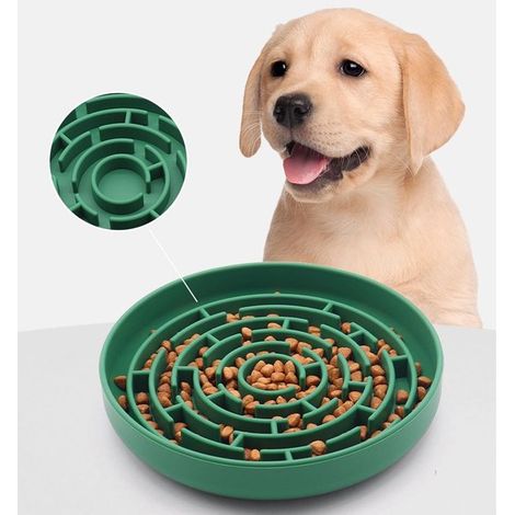 Ciotola per cani Slowfood, 20 x 20 cm, in silicone, con ventosa, pieghevole (verde) (1/5)